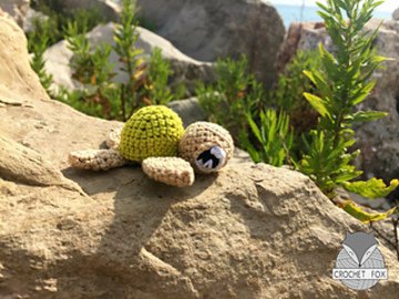 Sea Turtle