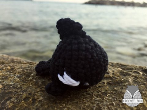 Orca Wal (Killerwal)