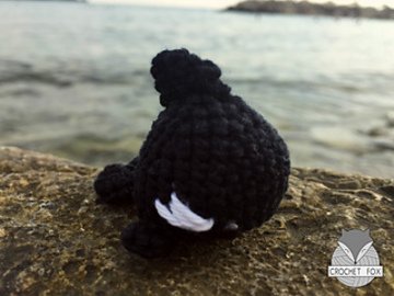 Orca Whale