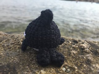 Orca Wal (Killerwal) - Bild 3