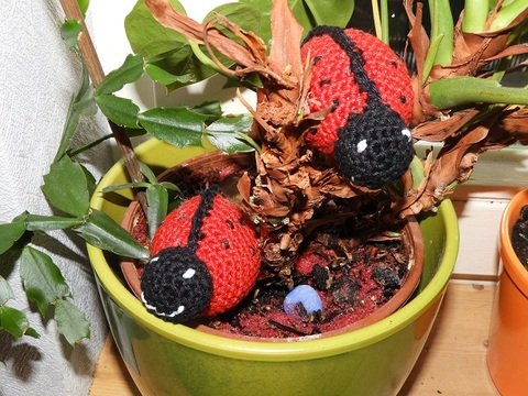 Anleitung Amigurumi Pablo der Marienkäfer häkeln