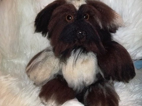 Bello (ein Süßer Hund)