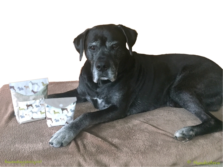 Pattern Add-on Flap Closure for XAVER Treat Bag, in 2 sizes