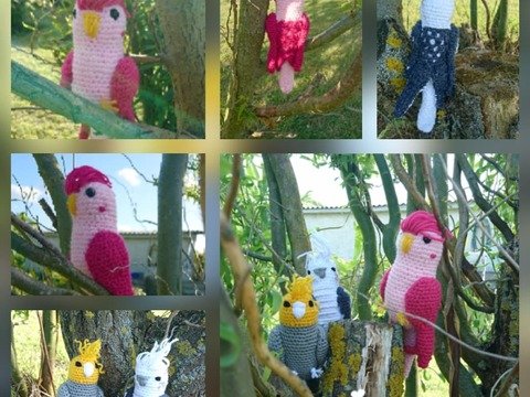 Cocco- das kleine Vögelchen