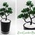 Zen Garden Bonsai Baum aus Perlen und Draht Anleitung