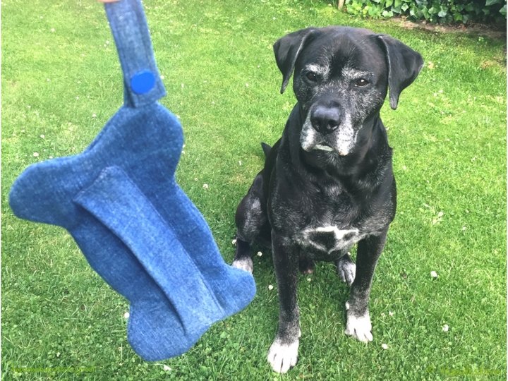 Alfie Futterdummy Apportierbeutel in 3 Größen Nähanleitung + Schnittmuster