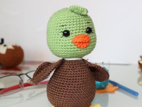 Green Duck Grucky