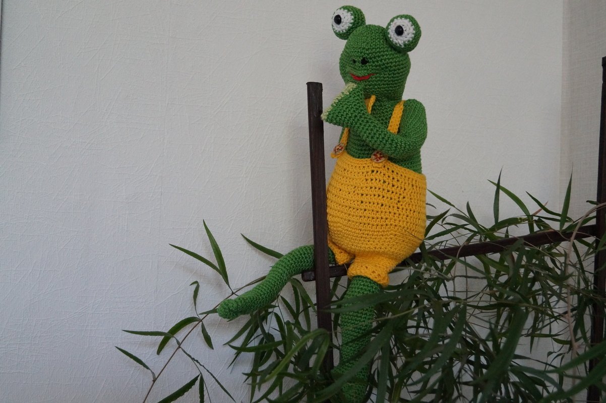 Fröschlein Quax - Bild 3