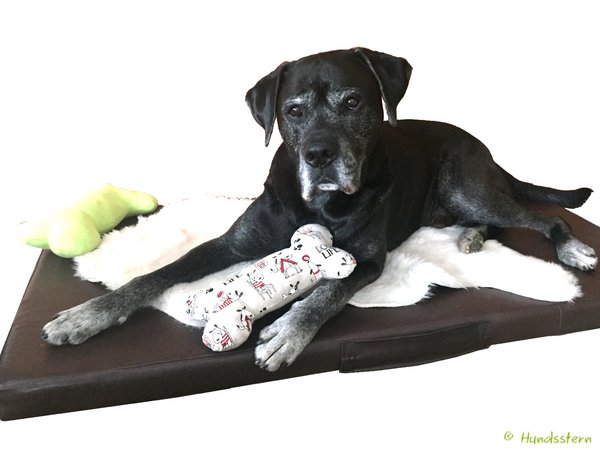Clyde bone pillow, cushion 3 sizes Sewing Pattern
