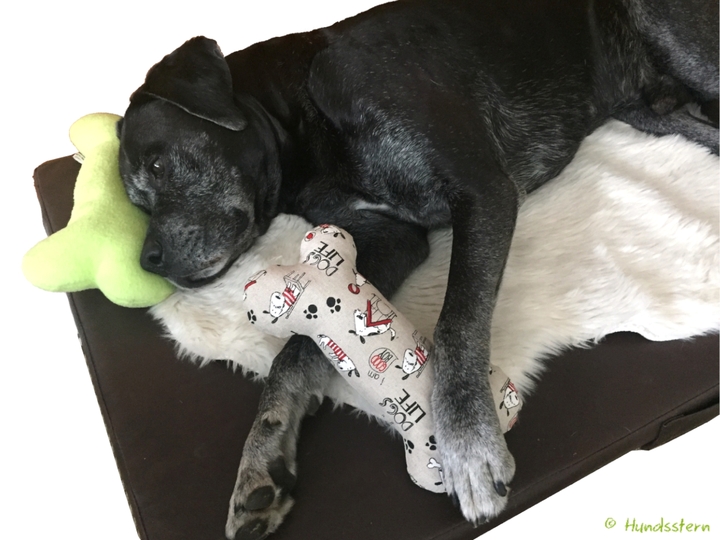 CLYDE bone pillow, cushion or toy in 3 sizes. Sewing Pattern