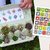Natur-Bingo für Kinder (Druckvorlagen und Spielideen)