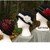Rolled Brim Cloche Hats - PA-102