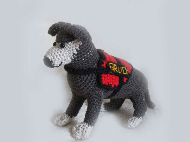 Hundetrainer Willis und sein Hund Bruce