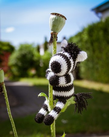 Zebra 'Zola' + swim ring • LuckyTwins • Amigurumi crochet pattern