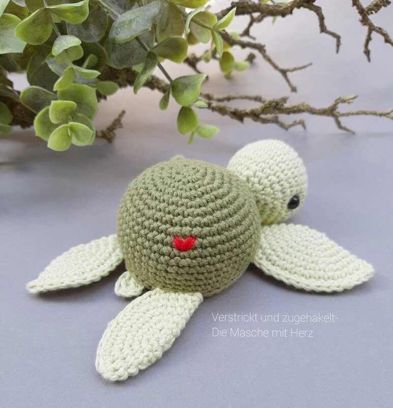 Kleine Schildkröte - Bild 2