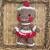 Gingerbread Gal - Croceht Amigurumi Pattern PDF- English