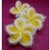 Frangipani (Plumeria) Waschpads - die Blume der Freundschaft