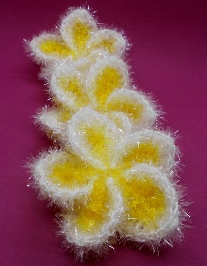 Frangipani (Plumeria) Waschpads - die Blume der Freundschaft