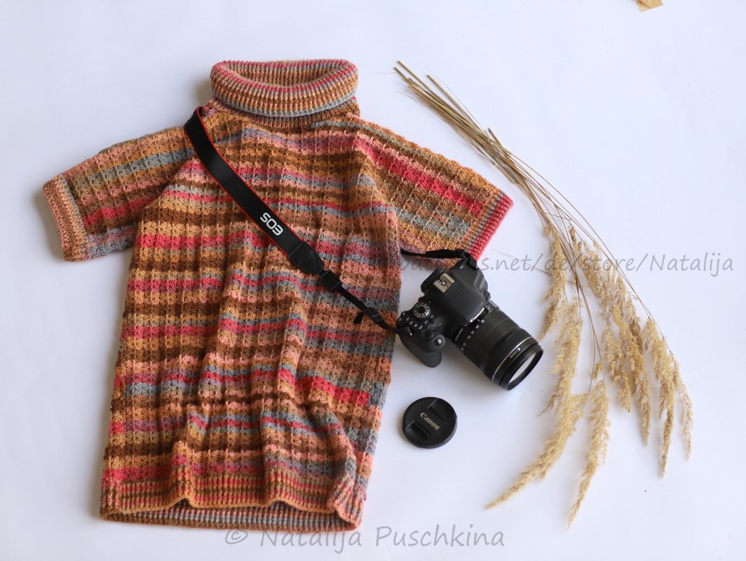 Gehäkelter Damen-Rollkragenpullover mit kurzen Ärmeln und bunten Streifen auf weißem Hintergrund, daneben eine Kamera und getrocknete Gräser.