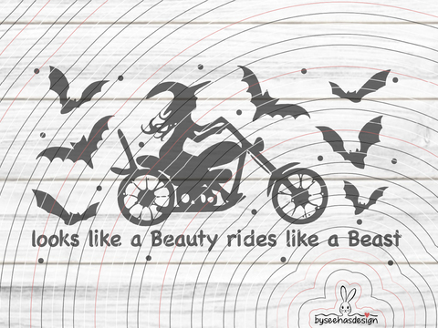 Hexe auf Motorrad Plotterdatei  SVG DXF