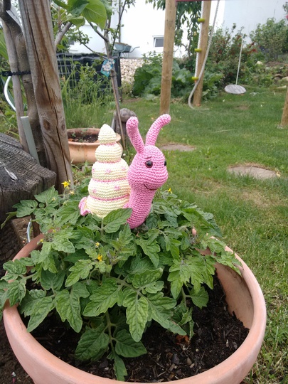 Crotchet Pattern Snail Rosi