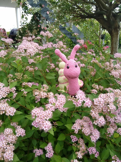 Crotchet Pattern Snail Rosi