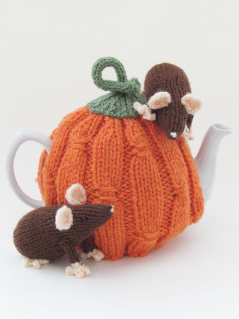 Harvest Pumpkin Tea Cosy