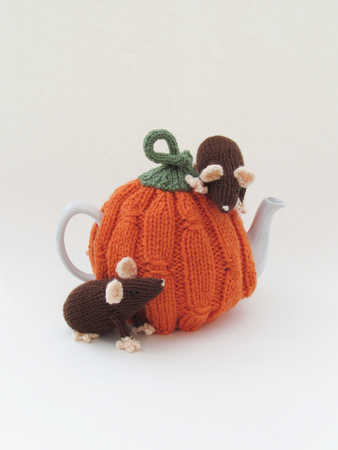 Harvest Pumpkin Tea Cosy
