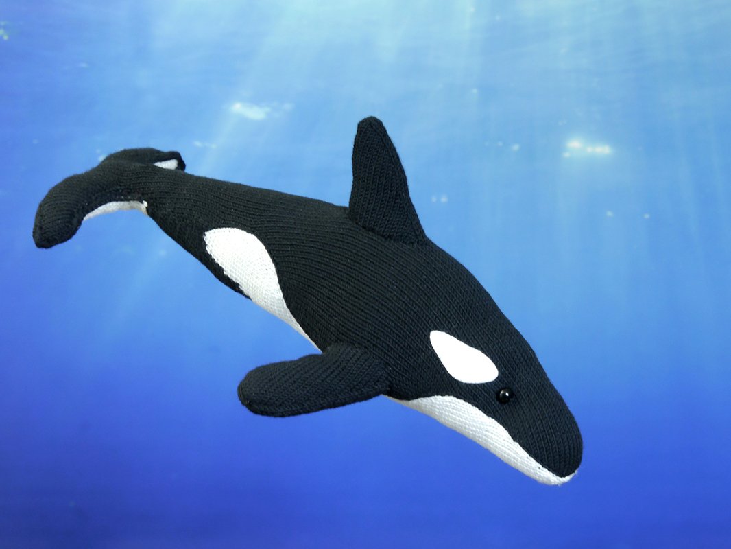 Black-and-white knitted orca amigurumi with dorsal fin and white eye patches on blue water backdrop