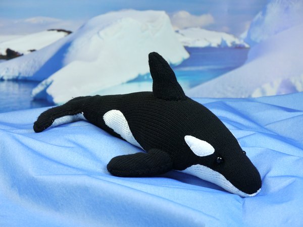 Arrluk the Orca / Killer Whale, knitting pattern