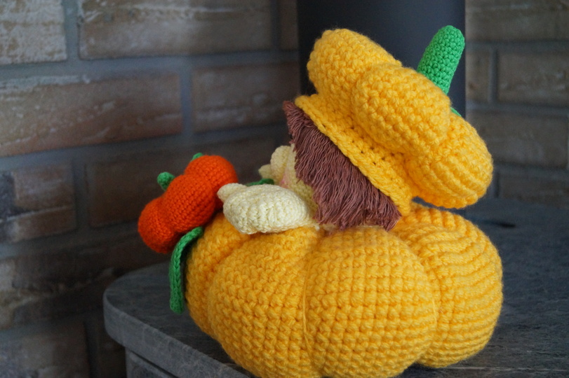 Herbstdeko Kürbis Korbinian