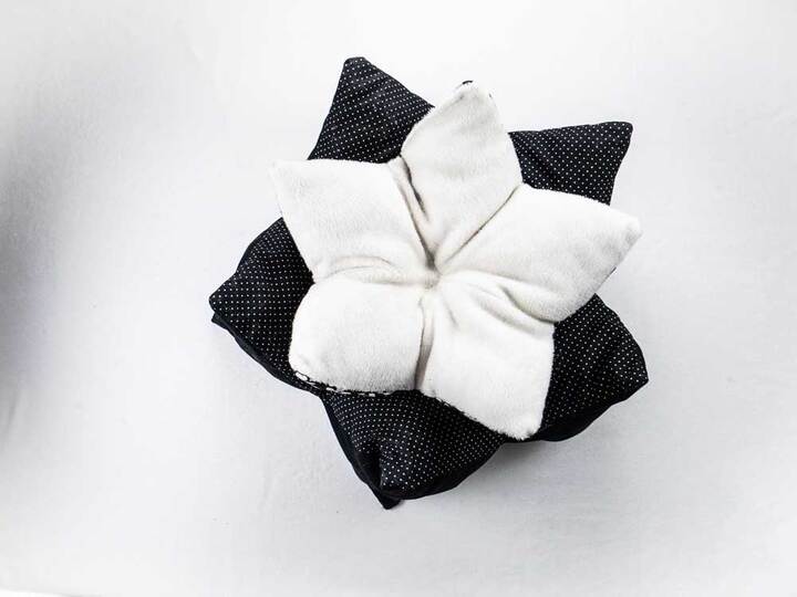 Sternenkissen nähen für Hund und Katze