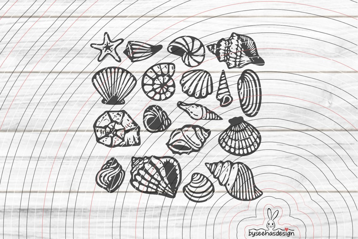 Muscheln Plotterdatei SVG DXF