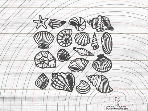 Muscheln Plotterdatei SVG DXF