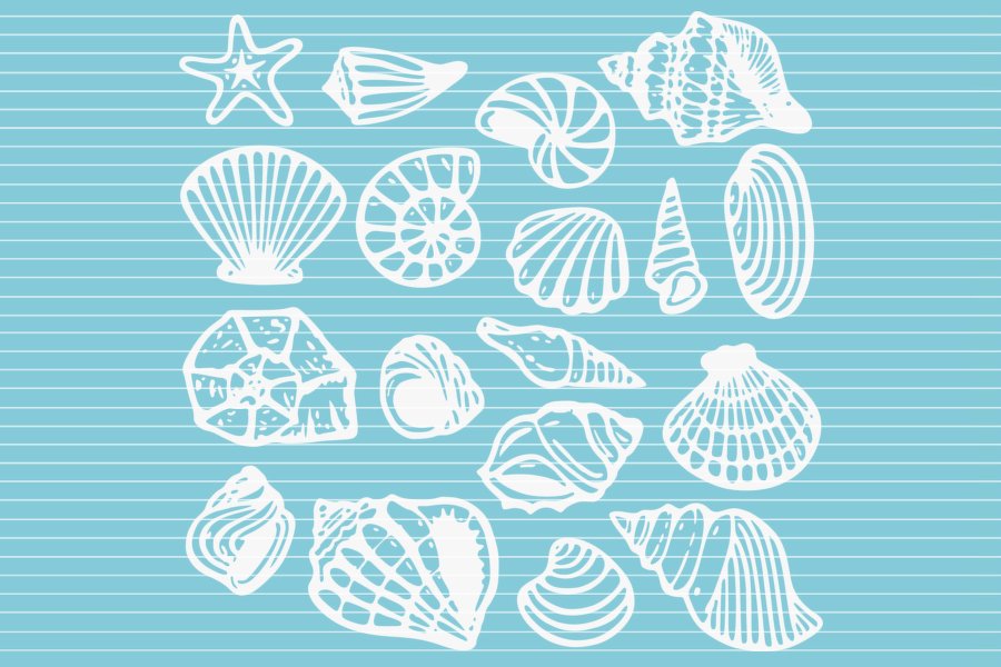 Weiße Vektor-Umrisse von Muscheln und einem Seestern auf hellblau-weiß gestreiftem Hintergrund