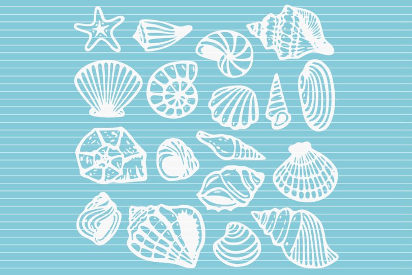 Muscheln Plotterdatei SVG DXF