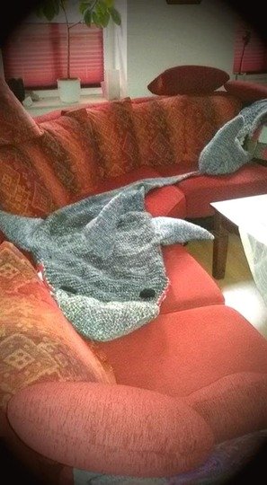 Häkelanleitung Haidecke