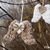 Pair of Wings in Shabby Style with Heart and Star