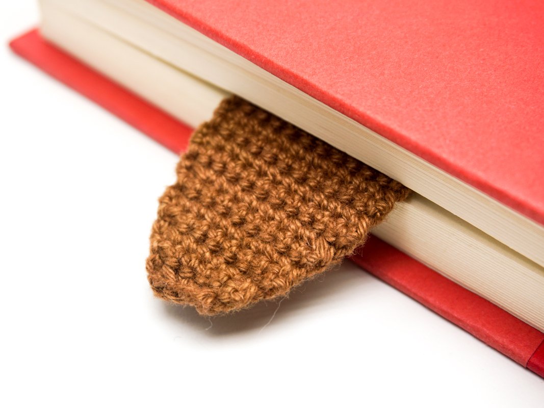 Amigurumi Crochet Platypus Bookmark - Image 8