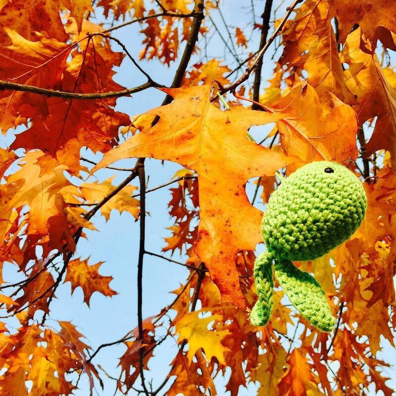 grüne gehäkelte meeresschildkröte an einem zweig vor orangefarbenen herbstblättern