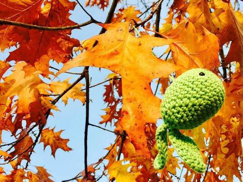 Häkelanleitung - Goldfisch