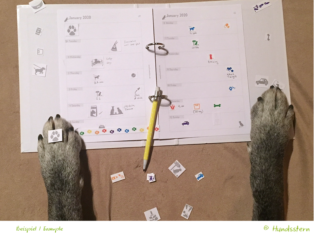 Stickers "a dog's life" for planner, icons S3006 - Image 6