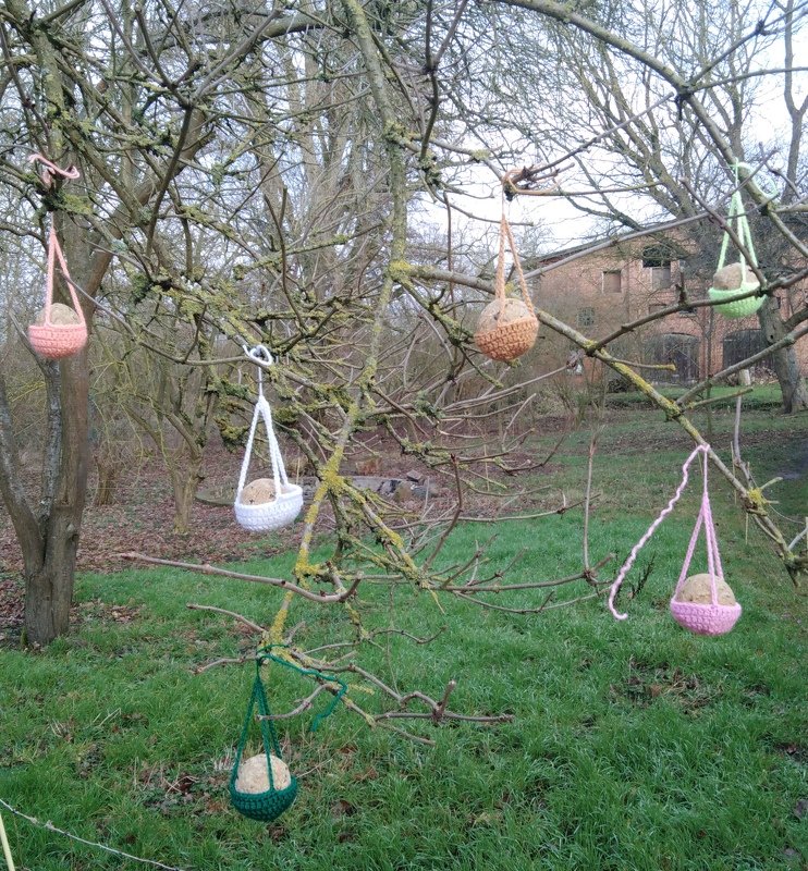 Bunte gehäkelte Meisenknödelhalter hängen an winterlichen Baumästen.