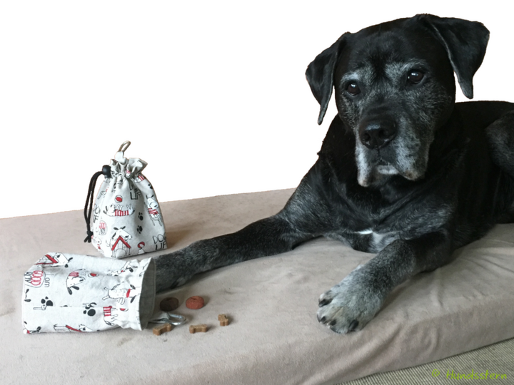 MINOU V1 treat pouch, with lining, in 2 sizes, 2 compartments. Pattern