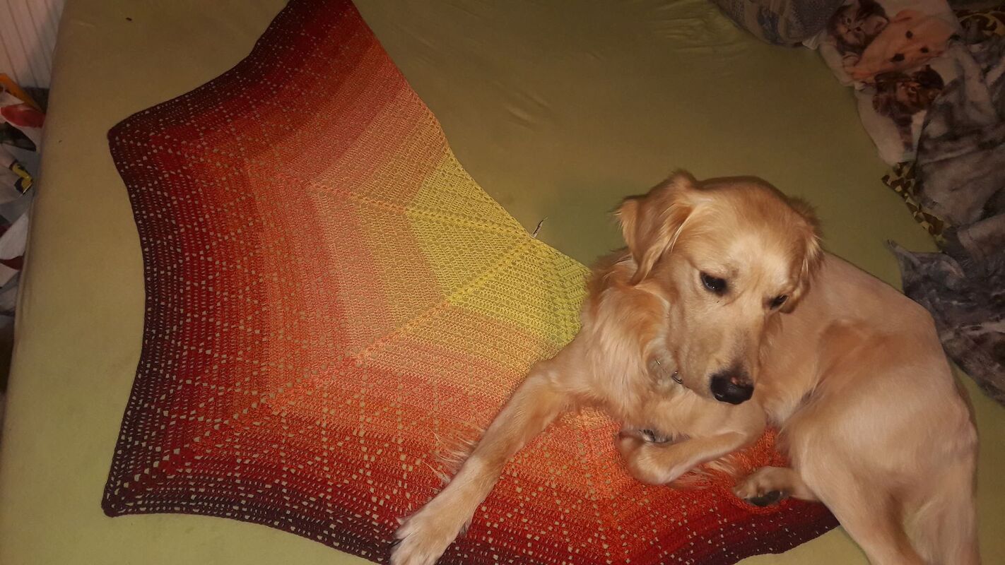 Gehäkeltes Tuch in Rot-, Orange- und Gelbtönen mit Lochmuster, darauf liegt ein Hund.