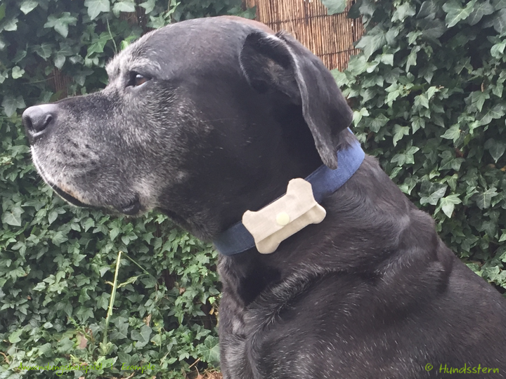 Bonnie Dog Tag and Poo Bag Pouch, sewing pattern