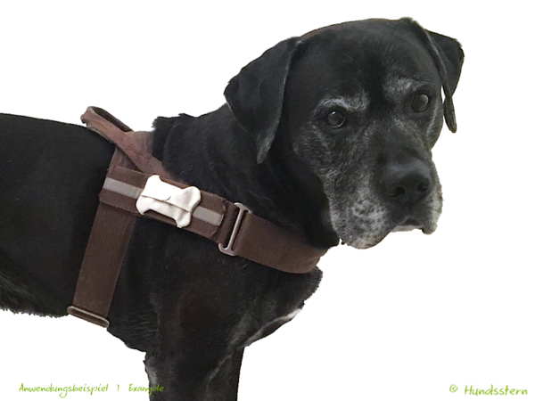 Bonnie Dog Tag and Poo Bag Pouch, sewing pattern