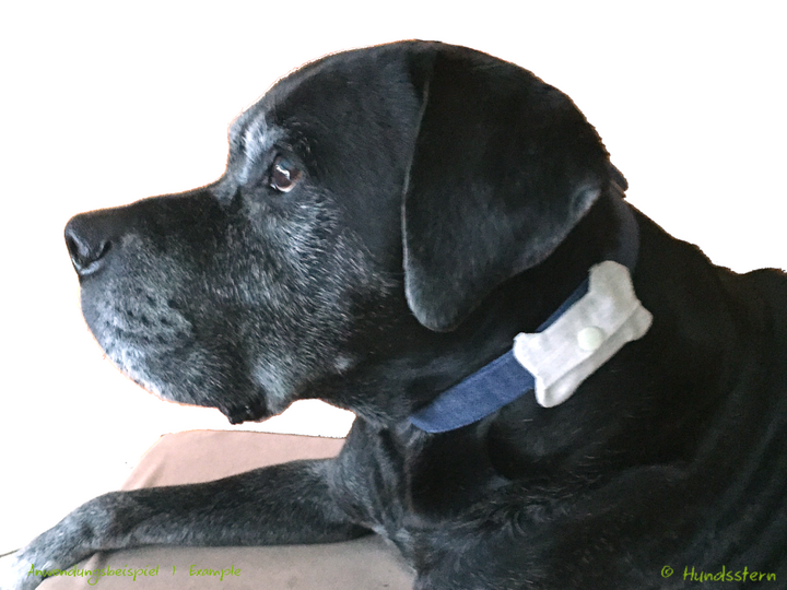 Bonnie Dog Tag and Poo Bag Pouch, sewing pattern