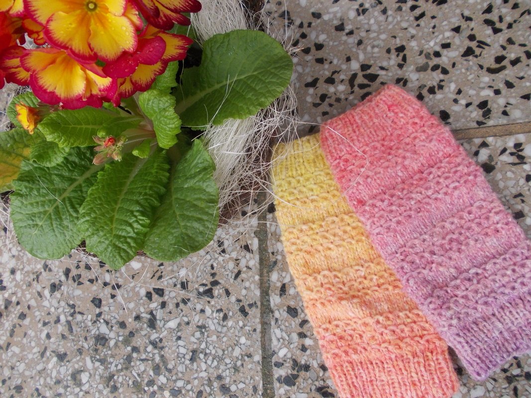 Zwei gestrickte Armstulpen in Gelb, Orange, Pink und Lila auf Pflastersteinboden neben gelb-roten Primeln.