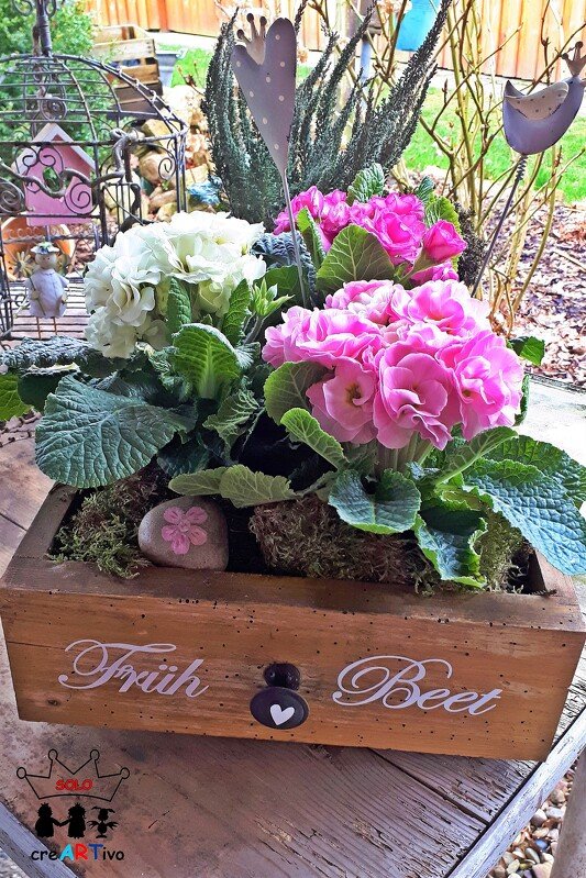 Bepflanzter Holzkasten mit dem Schriftzug „Früh Beet“ und rosa-weiß blühenden Primeln
